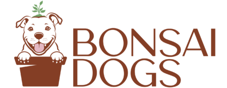 bonsaidogs.com
